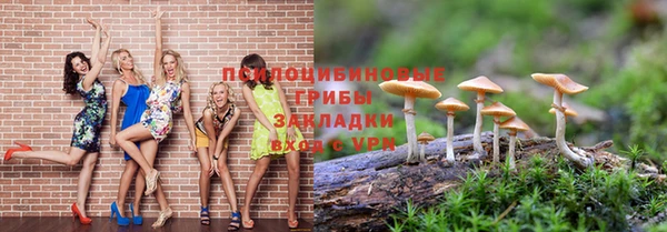 СК Аркадак