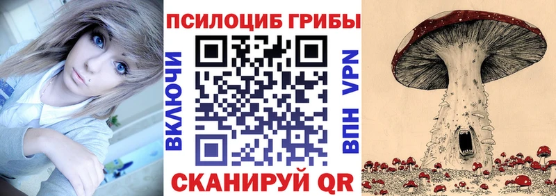 даркнет сайт  Заречный  Псилоцибиновые грибы MAGIC MUSHROOMS 